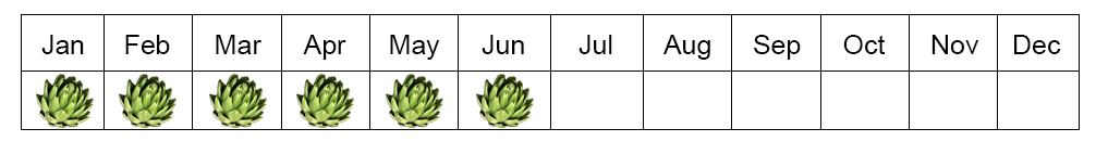 artichoke seasons in Egypt