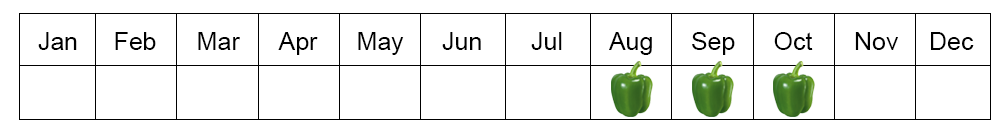 capsicum seasons in Egypt