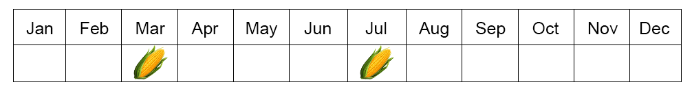 Corn seasons in Egypt