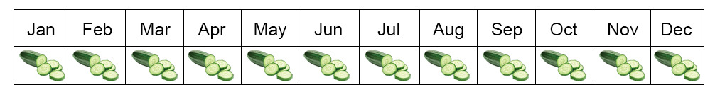 cucumber seasons in Egypt