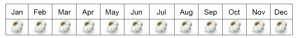 Garlic Seasons in Egypt