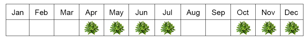 Green Beans seasons in Egypt