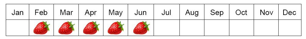 strawberry seasons in Egypt